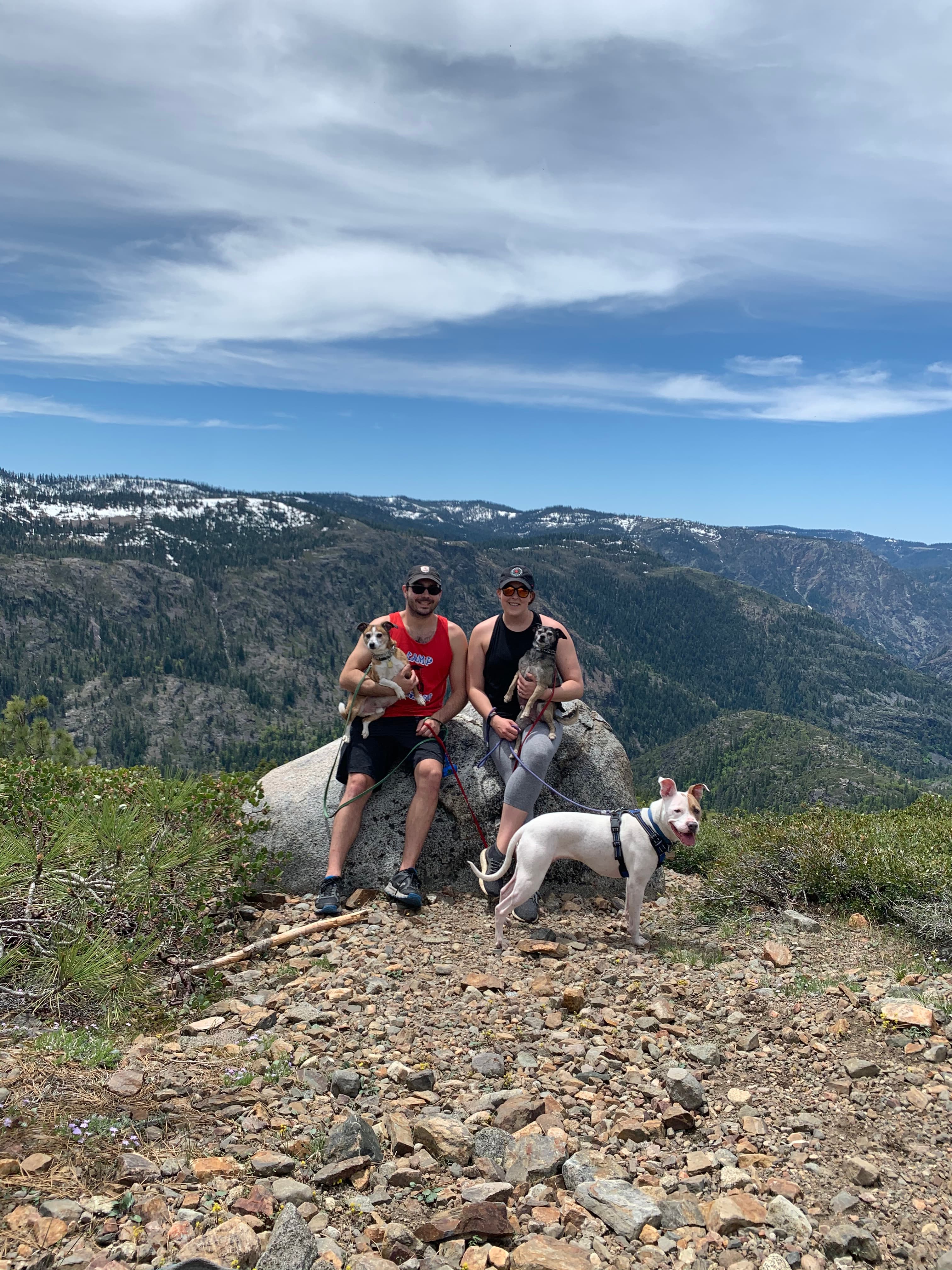 LillyBelle Deer - Hiking with Family in Mountains