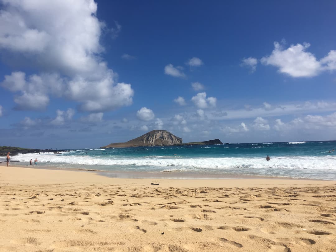 LillyBelle Deer - Hawaii Beach